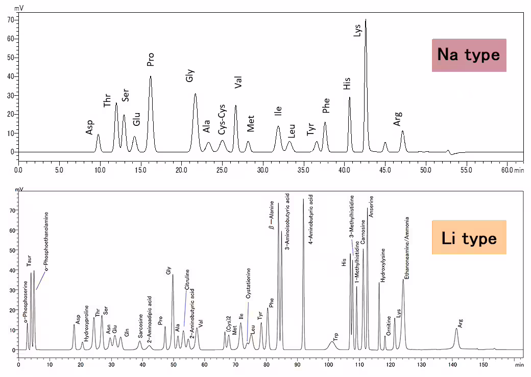 Analysis of Amino Acid Standard Spincotech