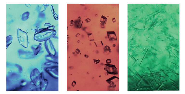 Color cameras Spincotech