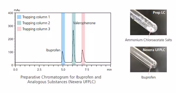 Online Purification Using Trap Columns Spincotech