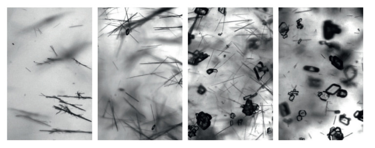 Visualize the process Spincotech Image