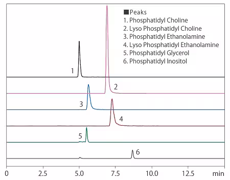 Analysis of Phospholipids Spincotech