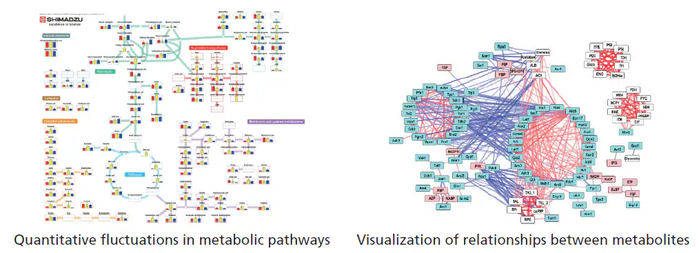 Multi-omics Analysis Package Spincotech
