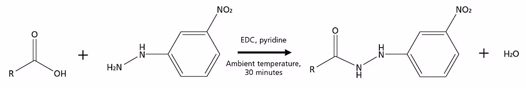 Pretreatment Protocol Including Derivatization Spincotech