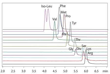 simultaneous_analysis_of_amino_acids Spincotech