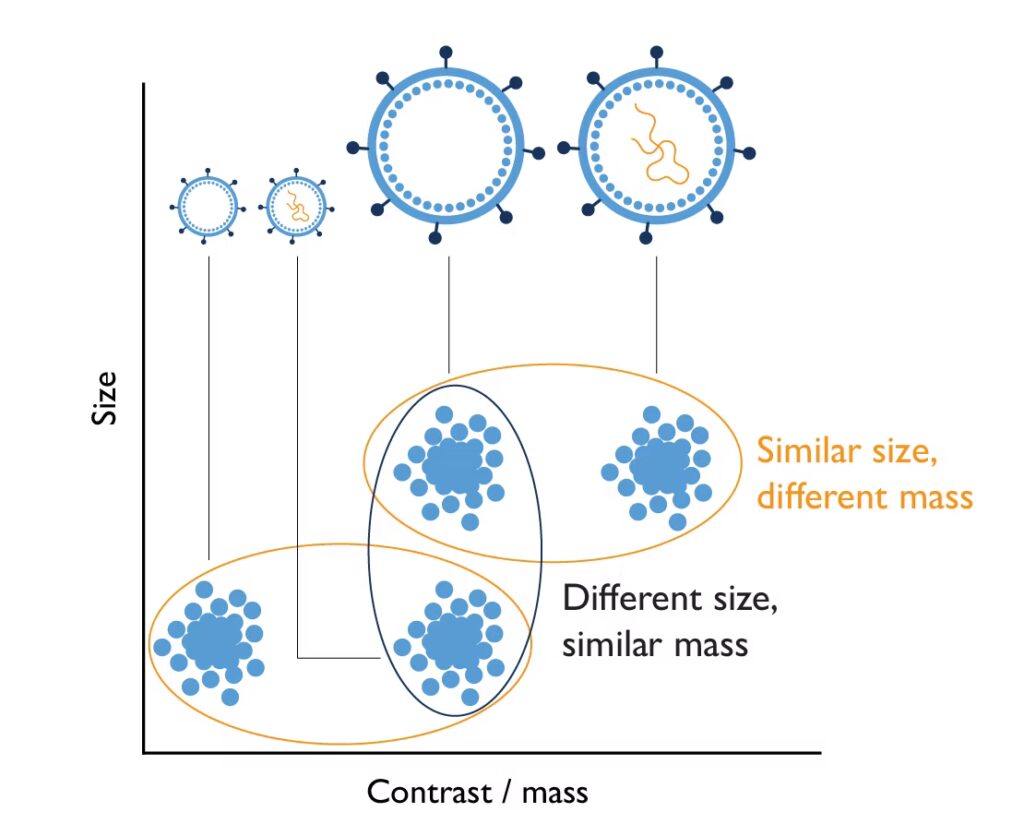2024_06_Karitro-schematic_size-contrast_Generic-virus-Spincotech