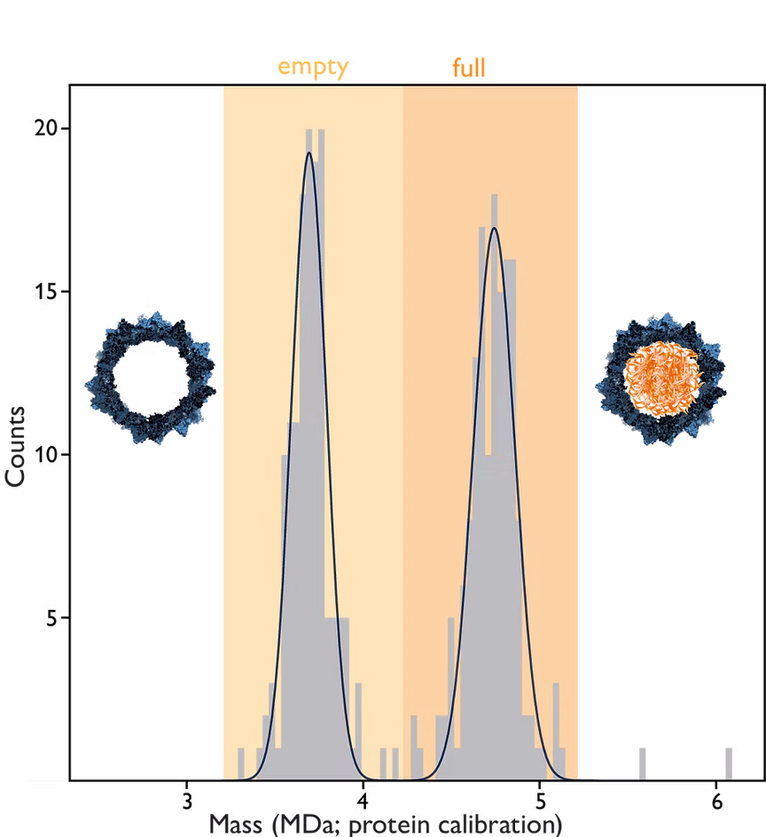 AAV-empty-full-resolution-transparent-background-Spincotech