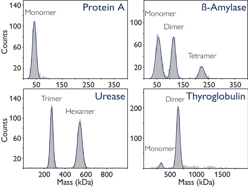 Two-MP-4-Protein-oligomerization-Spincotech