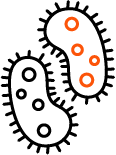 16S Metagenomics Spincotech