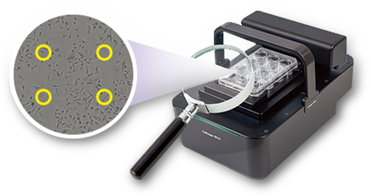 Multi-Point Imaging Spincotech