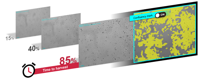 Shows the right Spincotech