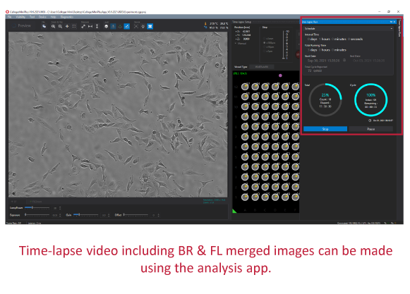 Time-lapse video Spincotech
