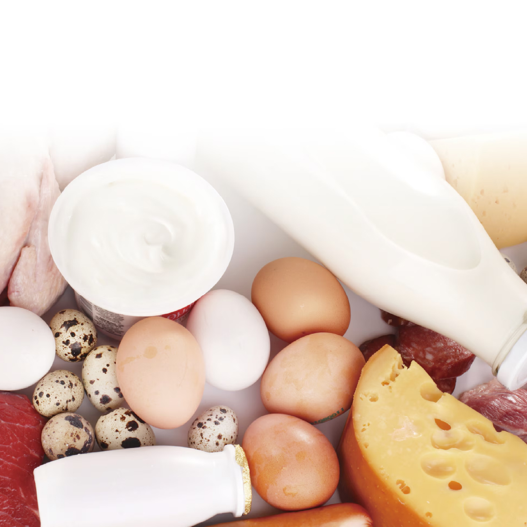 Aminoglycoside Antibiotics Spincotech