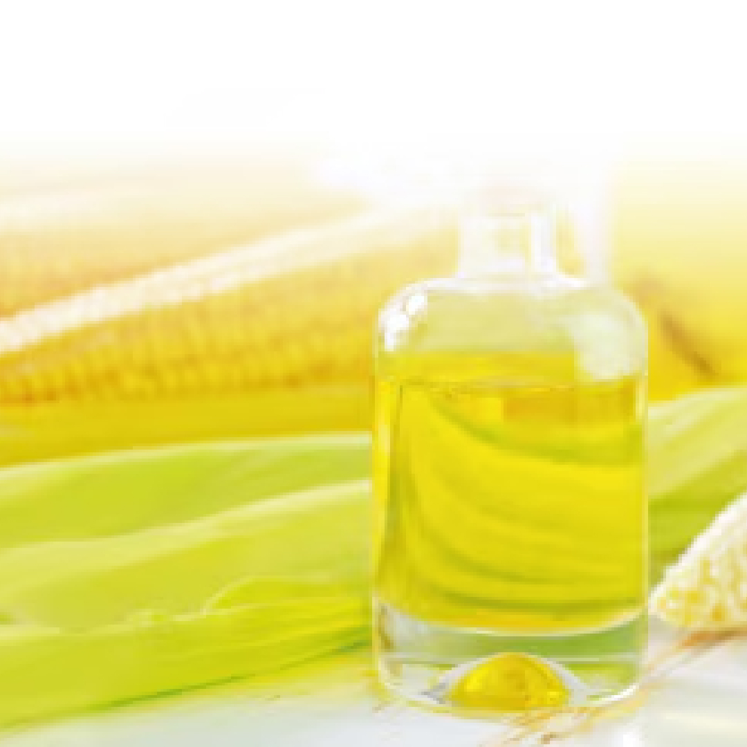 MRM Library for Metabolic Enzymes in Yeast Spincotech