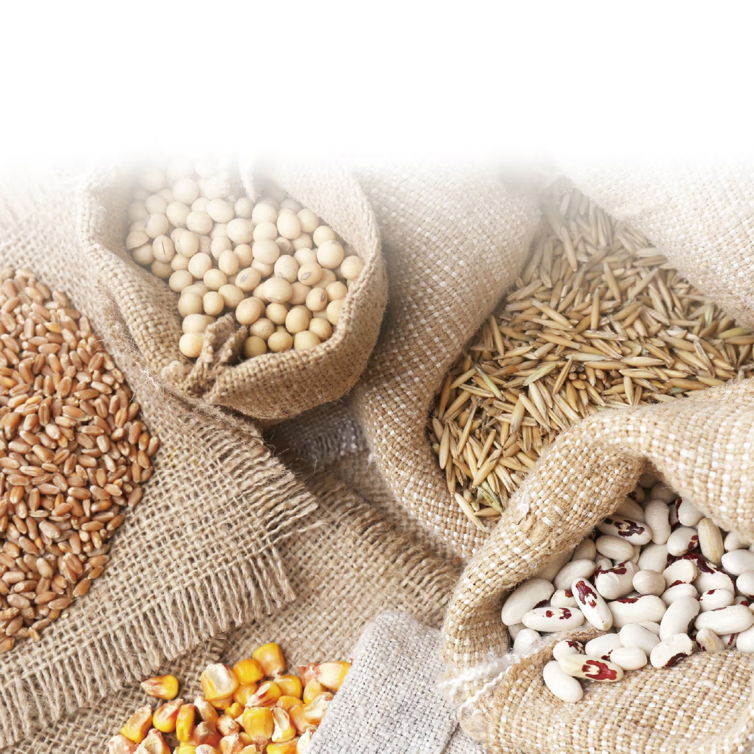 Mycotoxins Spincotech