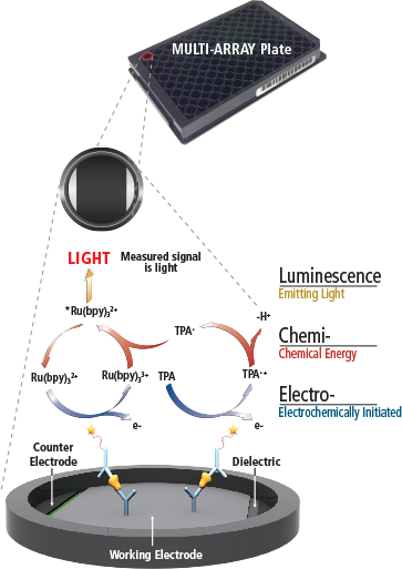 ECL Diagram MSD Spincotech