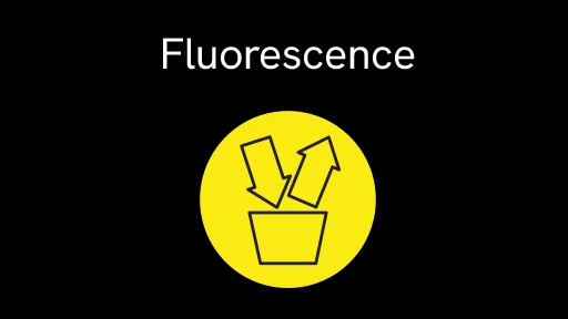 Fluorescence Spincotech