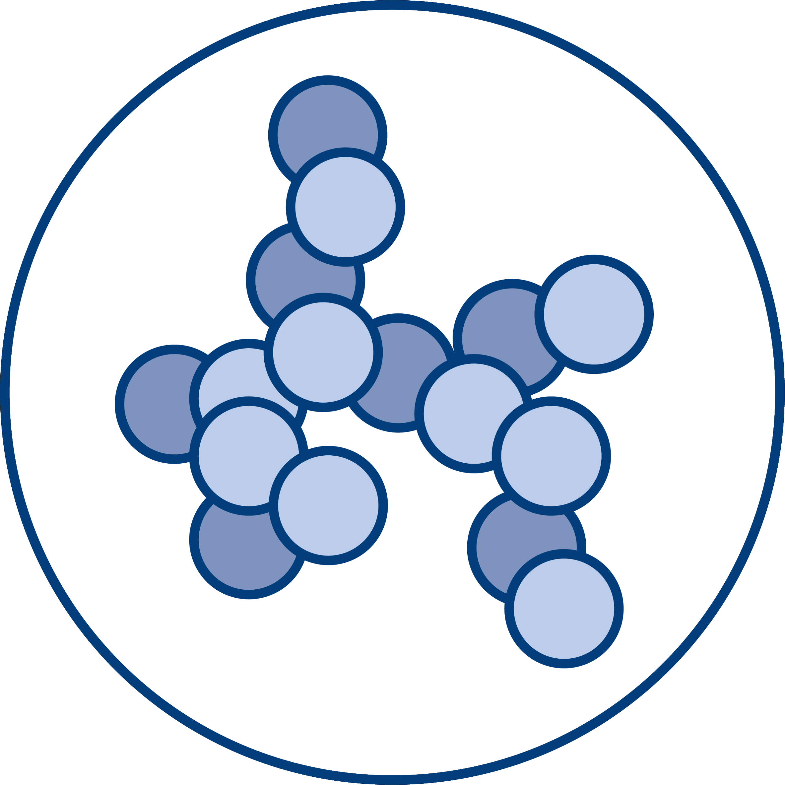 Polymers Spincotech