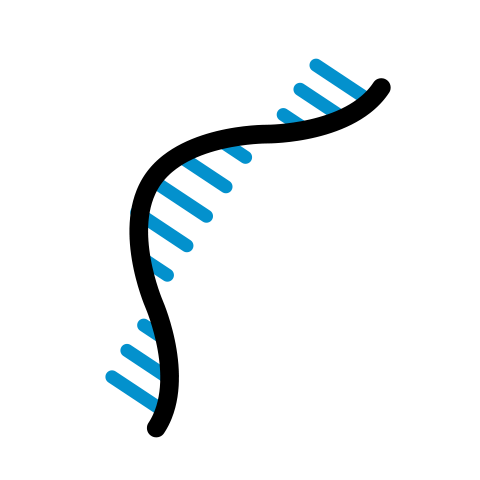 RNA-Seq Spincotech