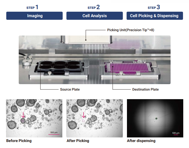 What is the CELL HANDLER Spincotech