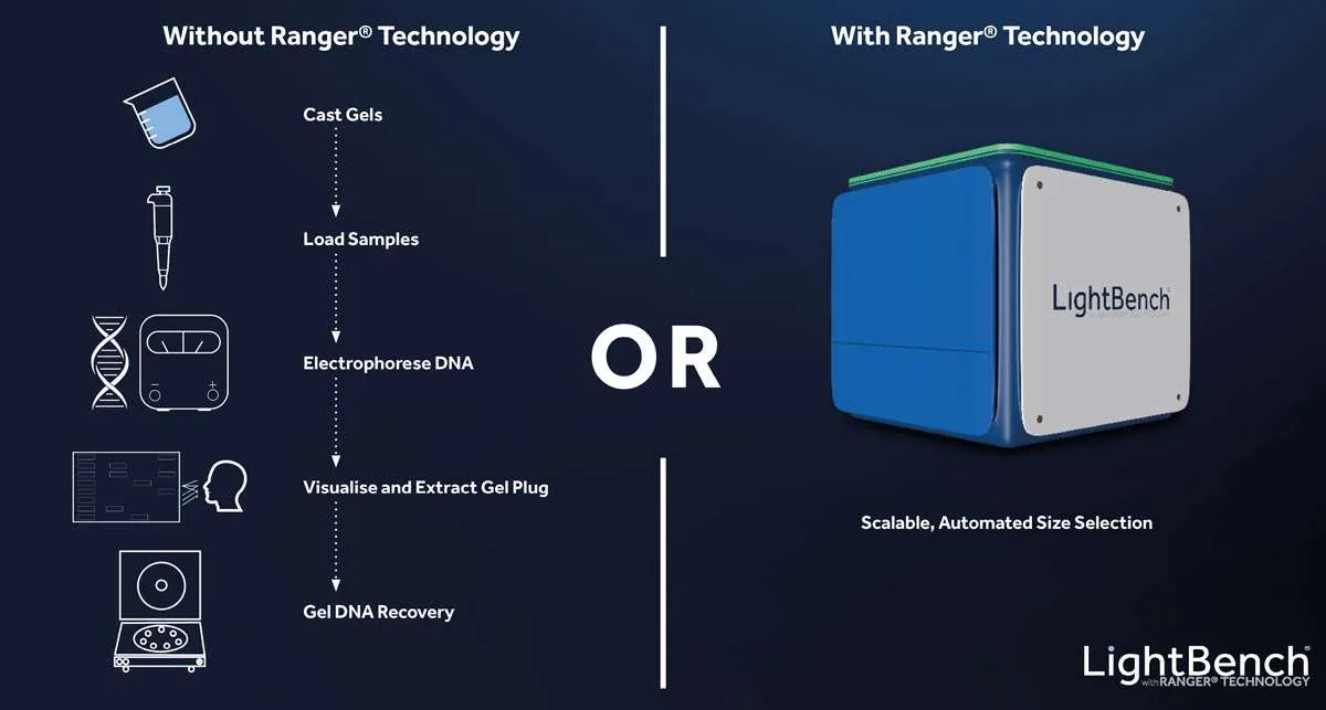 Yourgene-Health Spincotech
