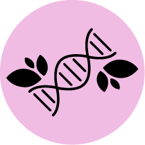 Agrigenomics & Plant Genomics Spincotech