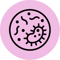 Microbial & Metagenomics Spincotech
