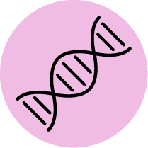 Whole Genome Sequencing Spincotech