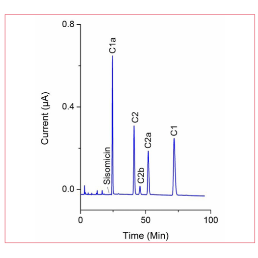 mLGentamicin Spincotech