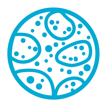 syncell_Spincotech (3)