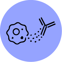 Immuno-oncology Image Spincotech