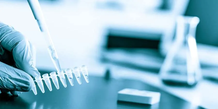 Male Factor Infertility Spincotech Yourgene