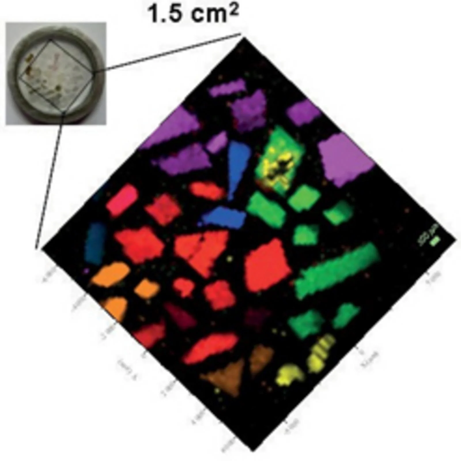 Mineral distribution Spincotech