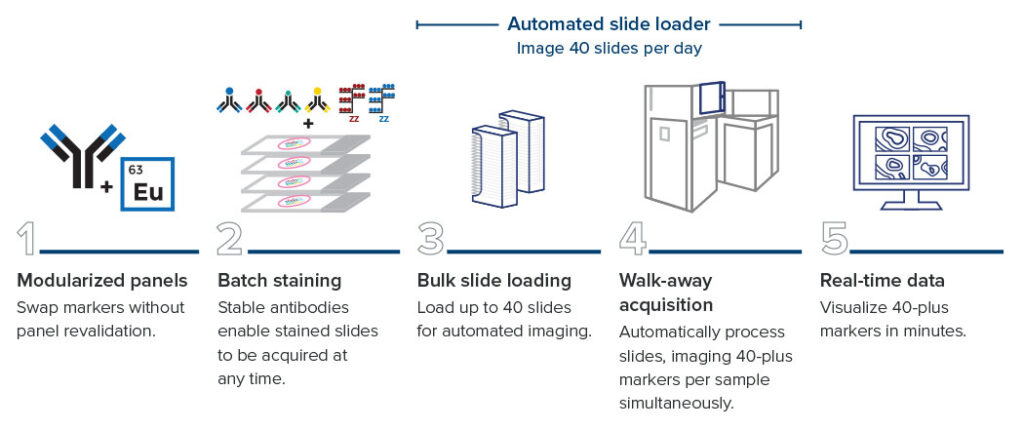 Multiplexed imaging – without compromising speed Spincotech