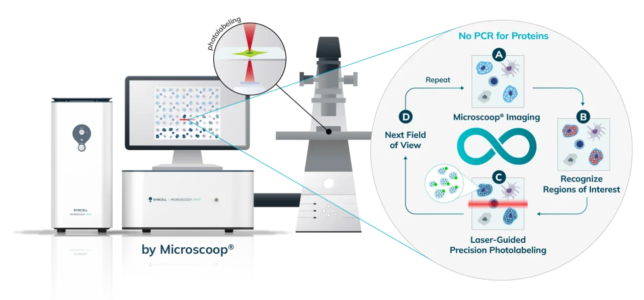 Patterned Photo-Biotinylation Spincotech Syncell