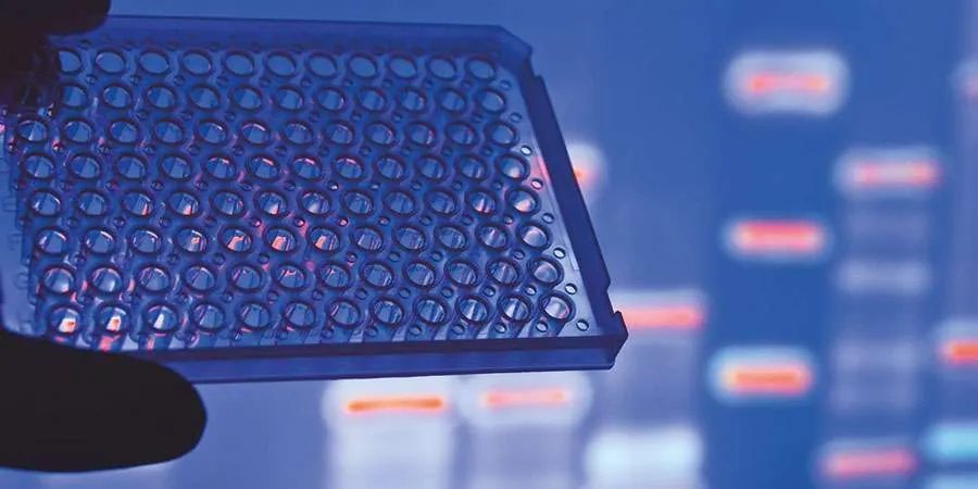 Pregnancy Loss Spincotech Yourgene