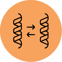 Protein Protein Interactions Image Spincotech