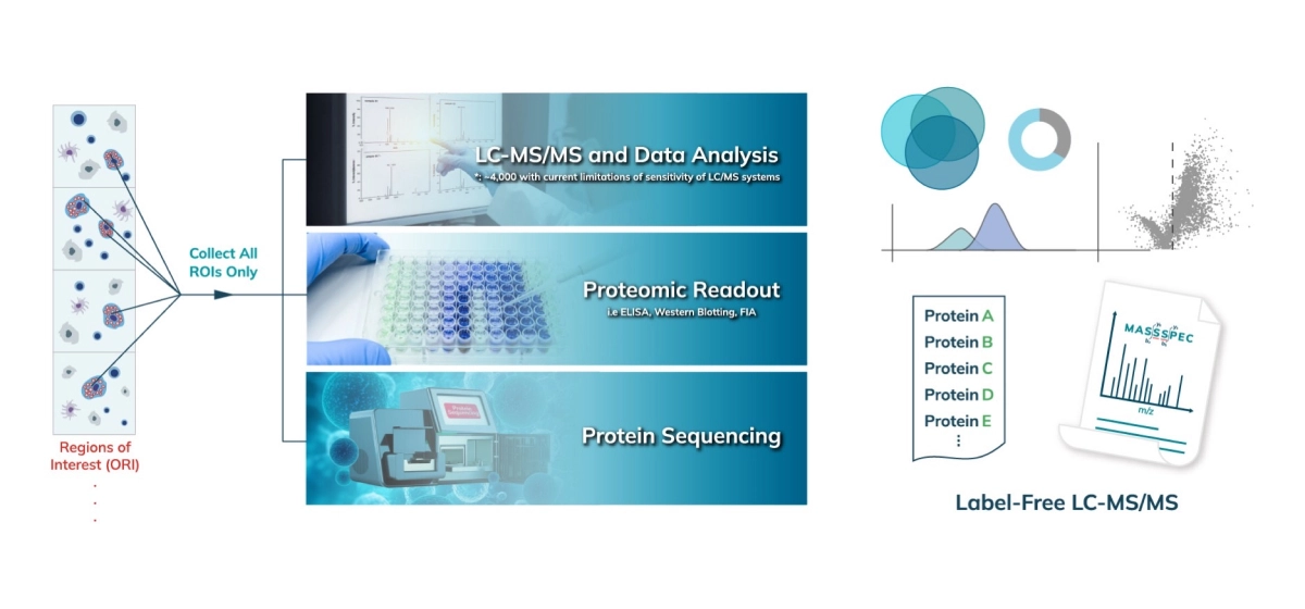 Proteomic Identification and Analysis Spincotech