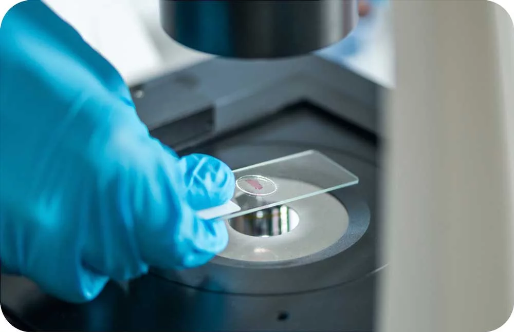 Sample Access Syncell Spincotech