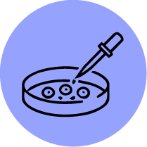 Stem Cell Research Image Spincotech