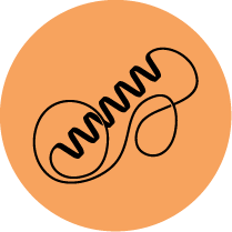 Structural Biology Image Spincotech
