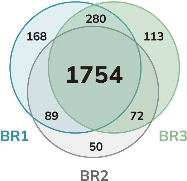 Venn diagram Spincotech