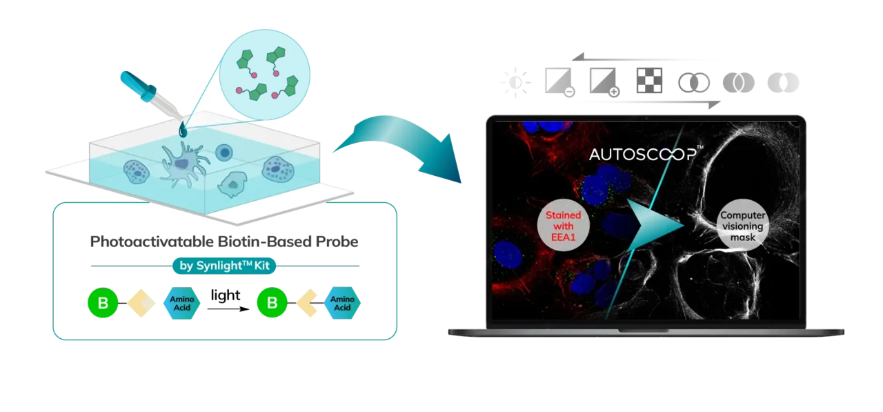 Workflow_Step 1 Spincotech