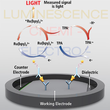Electrochemiluminescence Spincotech